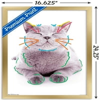 Котка - Смешно Лице Плакат За Стена, 14.725 22.375