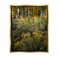 Ступел индустрии горски диви растения жълти цветове снимка металик злато плаваща рамка платно печат стена изкуство, дизайн от Дейвид Лоренц