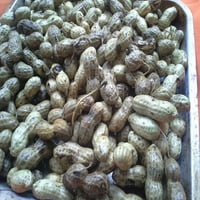 Maní de Puerto Rico Organic Seeds
