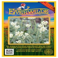 Everwilde Farms - Pussytoes местни семена от див цвят - Gold Vault Jumbo Packet Packet