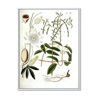 Античен растителен живот ИВ в рамка живопис платно Арт Принт