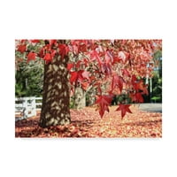Търговска марка изобразително изкуство 'червени Есенни листа' платно изкуство от Беата Чизовска Йънг