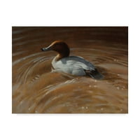 Изобразително изкуство 'патица в вълниста вода' от Майкъл Джексън