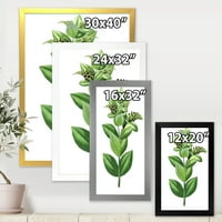 Дизайнарт' древни зелени листа растения ' традиционна рамка Арт Принт