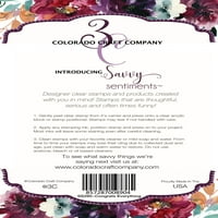 Colorado Craft Company Clear Stamps 4 x6 -Поздравления за всичко, което е настроени настроения