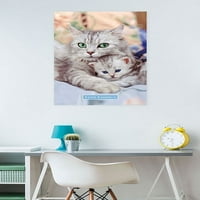 Кийт Кимбърлин - Плакат за мама и котешка стена, 22.375 34
